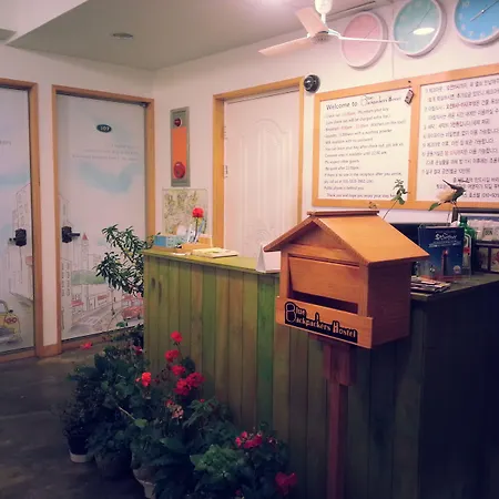 Blue Backpackers Hostel-3